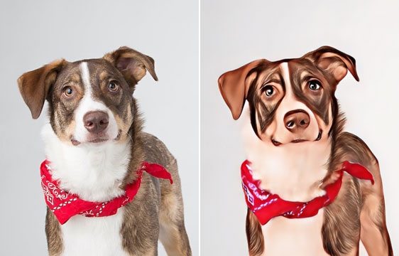 Cartoonize Your Beloved Pet